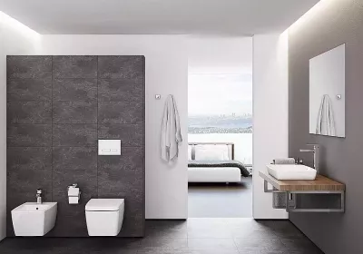 Унитаз подвесной Vitra Metropole Rim-Ex 7672B003-1687 безободковый, белый