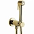 Гигиенический душ Bossini Paloma Brass E37005B.021 золото