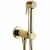 Гигиенический душ Bossini Paloma Brass E37005B.021 золото