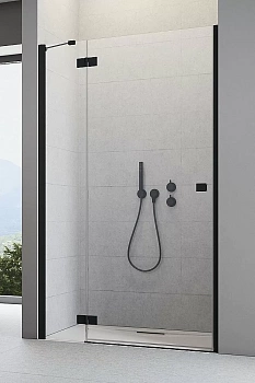 Душевая дверь Radaway Essenza New Black DWJ 120