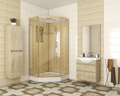 Душевая кабина Niagara Luxe NG-7702DG 100x100