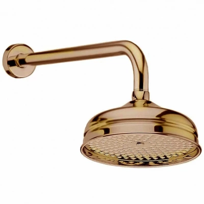 Верхний душ Webert Armony AC0015065 бронза