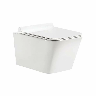 Унитаз подвесной Caprigo Modern Style S-1203 безободковый, с крышкой микролифт