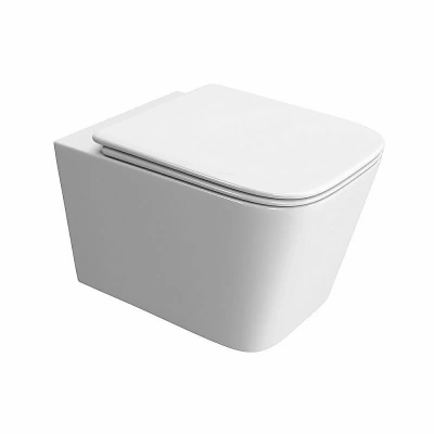 Унитаз подвесной BelBagno DUE-TOR BB5171CH-TOR/SC белый, с крышкой микролифт, безободковый, слив-торнадо