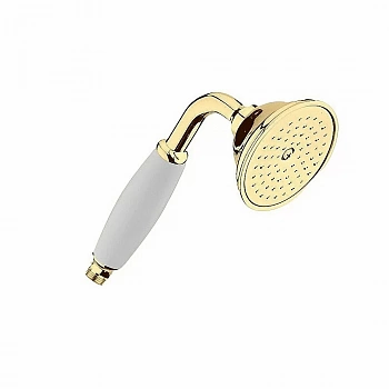 Душевая лейка Webert SHOWER SET AC0428010 золото