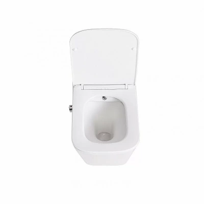 Унитаз BelBagno Due BB3103CHR-BS/SC безободковый, с крышкой микролифт