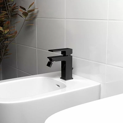 Смеситель для биде PAINI Dax-R 84PZ306R черный матовый