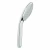 Душевая лейка GROHE Euphoria 27239 000