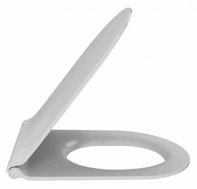 Унитаз подвесной Jacob Delafon RODIN+ E21749RU-00 безободковый, с крышкой микролифт, с инсталляцией и кнопкой хром
