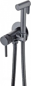 Гигиенический душ Allen Brau Priority 5.31A29-MG брашированный графит