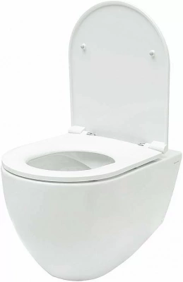Унитаз Allen Brau Reality 4.32006.20 безободковый, с крышкой микролифт, белый