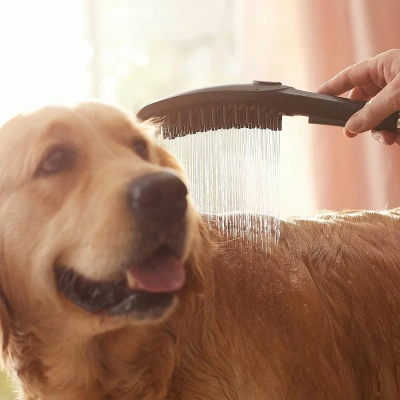 Душевая лейка для собак Hansgrohe DogShower 26640670 черный матовый