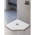 Душевой поддон RGW ST/T-W Stone Tray 16155100-01 100x100 белый