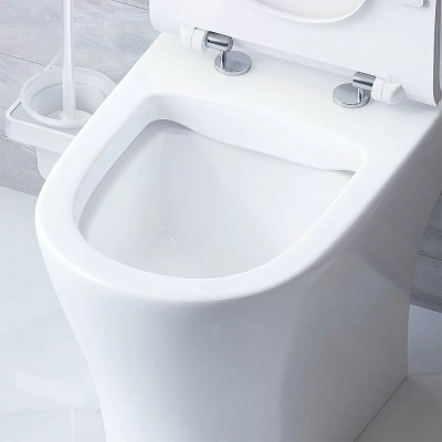 Унитаз Damixa SIRIUS DX86C8600SC белый, с крышкой микролифт, с бачком, безободковый
