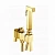 Гигиенический душ Webert Pegaso PE870303010 золото