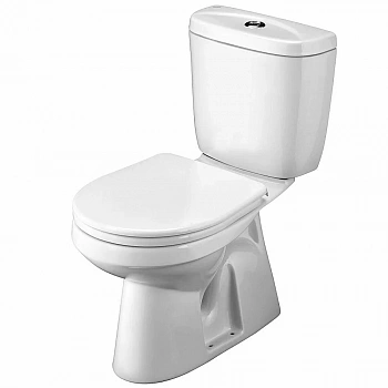 Унитаз-компакт Santek Анимо 1WH302136 с бачком, с крышкой микролифт