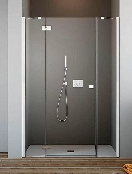 Душевая дверь Radaway Essenza New DWJS 110