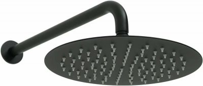 Верхний душ Allen Brau Priority 5.31017-31