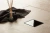 Душевой трап PESTAN Confluo Standard Black Glass 3 15x15 с рамкой