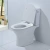 Унитаз-компакт Orans Ceramic OLS-WM9902 безободковый, с бачком, с крышкой микролифт