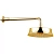 Верхний душ Cisal CHERIE DS01360024 D220 золото