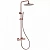 Душевая система Abber WASSER KREIS AF8160RG розовое золото