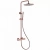 Душевая система Abber WASSER KREIS AF8160RG розовое золото