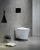 Унитаз SantiLine SL-5025 безободковый, слив торнадо, с крышкой микролифт, белый