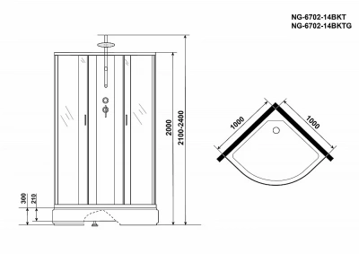 Душевая кабина Niagara Classic NG-6702-14BKT 100x100
