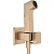 Гигиенический душ Hansgrohe Bidette 29233140 шлифонная бронза