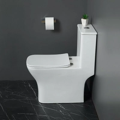 Унитаз-моноблок BelBagno NEON BB8617CPR-MN/SC белый, с крышкой микролифт, безободковый