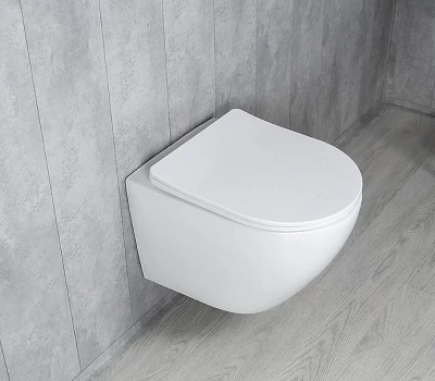 Унитаз подвесной Gid Tr2122TF белый, безободковый, с крышкой микролифт, слив торнадо