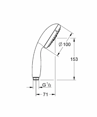Душевая лейка Grohe Tempesta New 28421002 хром