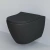 Унитаз подвесной Ambassador Queen 113T20201R черный матовый