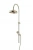 Душевая система Caprigo Parts 99-060-oro золото
