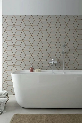 Акриловая ванна Aquanet Family Fine 260051 170x78 Matt Finish