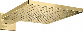 Верхний душ Hansgrohe Raindance E 300 1jet 26238990