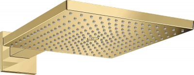 Верхний душ Hansgrohe Raindance E 300 1jet 26238990