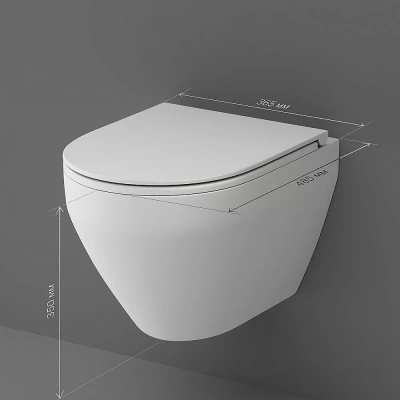 Унитаз подвесной AM.PM Spirit V2.0 C701700MWSC белый матовый, безободковый