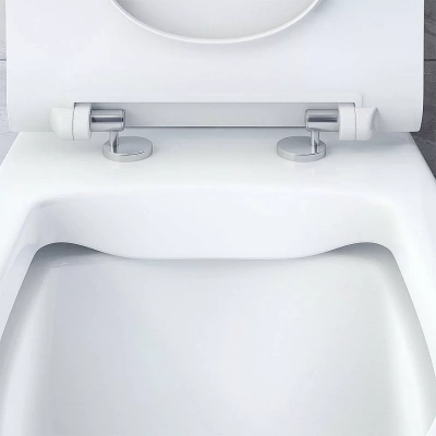 Унитаз Damixa SIRIUS DX86C8600SC белый, с крышкой микролифт, с бачком, безободковый