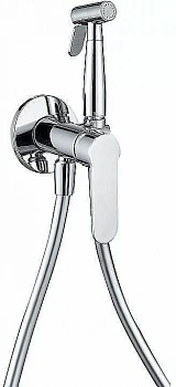 Гигиенический душ Aquanet Passion AF300-52С