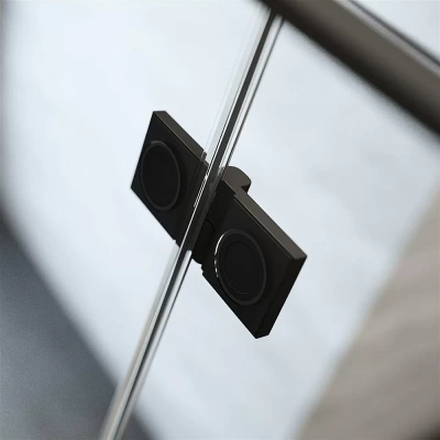 Душевая дверь Radaway Essenza New Black DWJ 120