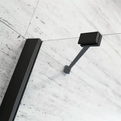 Душевая дверь Radaway Essenza New Black DWJ 120