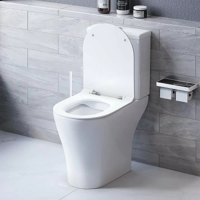 Унитаз Damixa SIRIUS DX86C8600SC белый, с крышкой микролифт, с бачком, безободковый