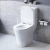 Унитаз Damixa SIRIUS DX86C8600SC белый, с крышкой микролифт, с бачком, безободковый