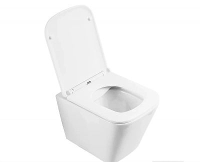 Унитаз подвесной BelBagno ARDENTE-R BB520CHR безободковый