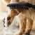 Душевая лейка для собак Hansgrohe DogShower 26640670 черный матовый