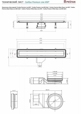 Душевой трап PESTAN Confluo Premium Glass Line 650 черное стекло/хром