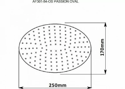 Верхний душ Aquanet Passion AF301-84-OS