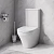 Унитаз-компакт AM.PM Inspire C508607WH белый, с бачком